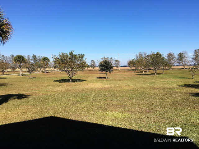 16872 County Road 12 South Foley, AL 36535 - Photo 31 of 35 Front Yard