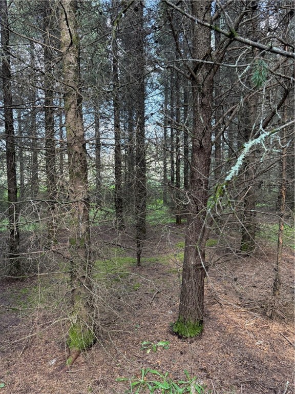 0 Tagalder Trail Hayward, WI 54843 - Photo 14 of 23