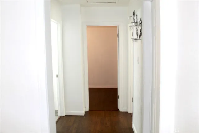 a view of walk in closet with rug