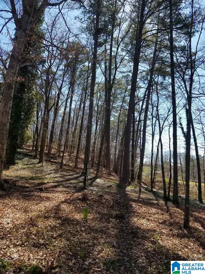 4258 Vfw Road, Unit 6 Pinson, AL 35126 - Photo 5 of 6