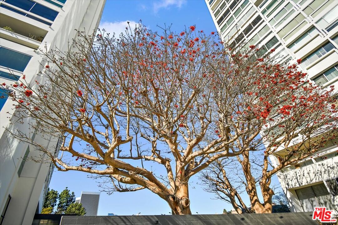 2222 Avenue Of The Stars, Unit 1203 Los Angeles, CA 90067 - Photo 24 of 43 a backyard of a house with lots of green space
