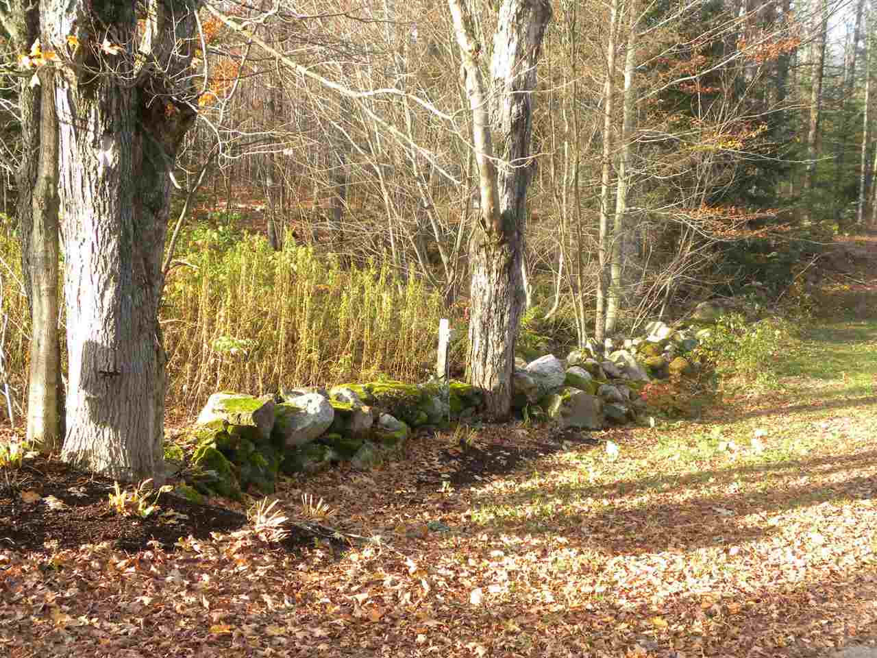 910 B Dolloff Pond Road Sutton, VT 05867 - Photo 32 of 38 Gallery Image 32