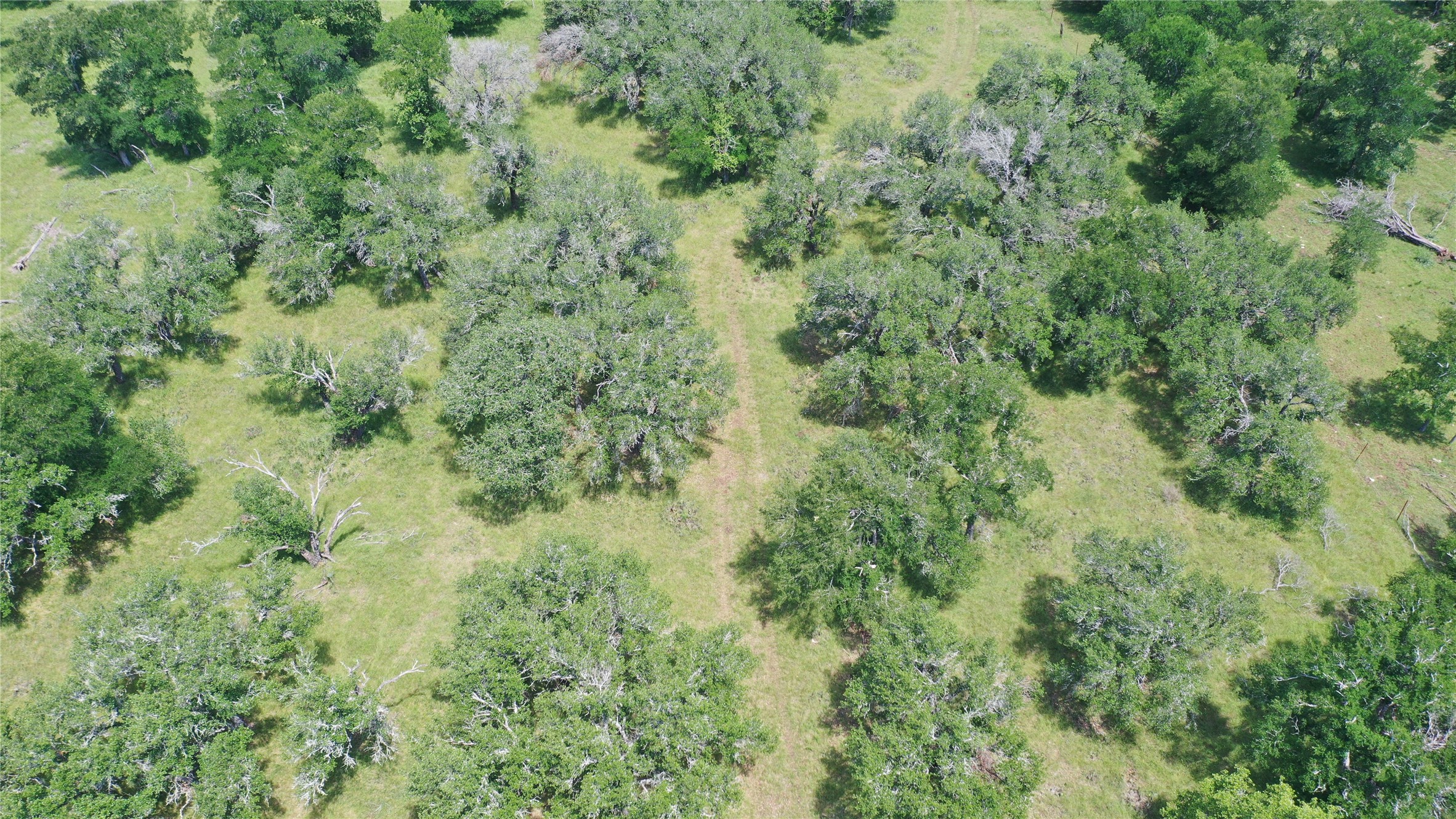 3215 County Road 305 Jarrell, TX 76537 - Photo 13 of 23