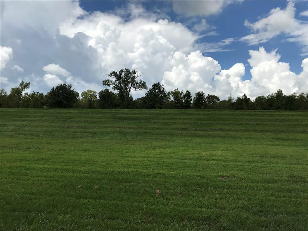17660 River Road Montz, LA 70068 - Photo 6 of 7