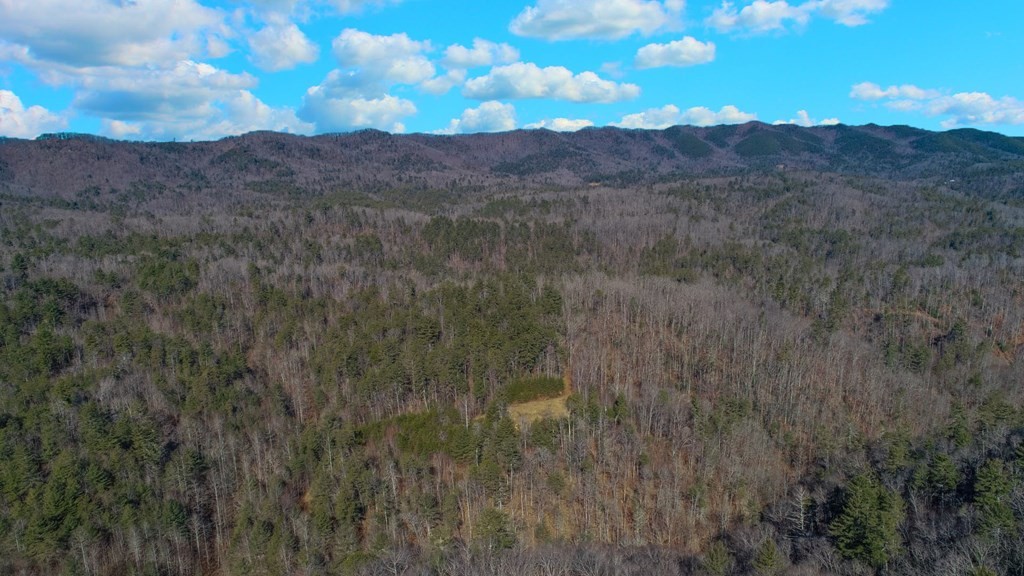 1574 Old 15th Road Del Rio, TN 37727 - Photo 31 of 36 Gallery Image 31