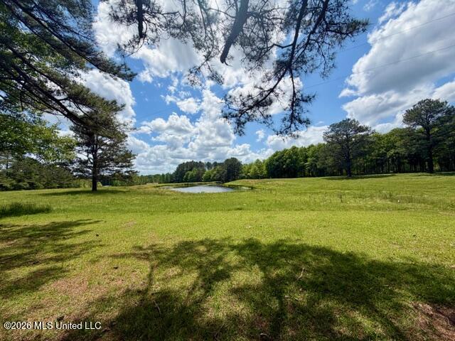 273 Vincetown Road Tylertown, MS 39667 - Photo 28 of 41 IMG_9743