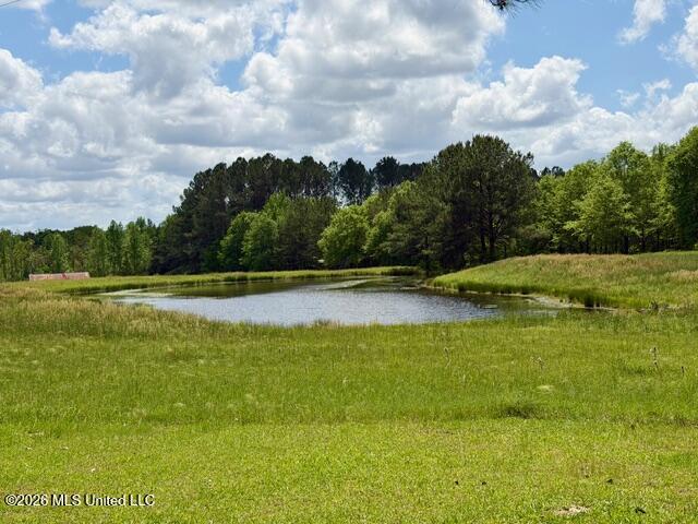 273 Vincetown Road Tylertown, MS 39667 - Photo 3 of 41 IMG_9744