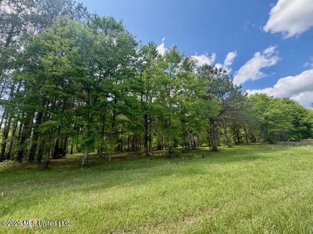 273 Vincetown Road Tylertown, MS 39667 - Photo 34 of 41 IMG_9750