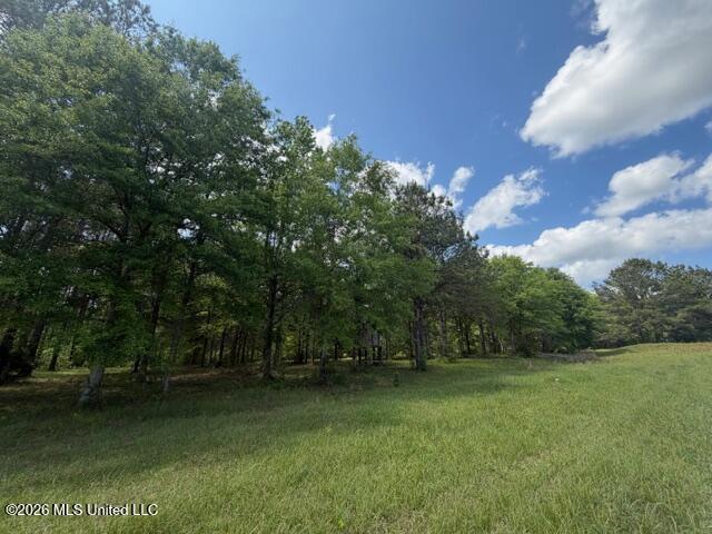 273 Vincetown Road Tylertown, MS 39667 - Photo 35 of 41 IMG_9751