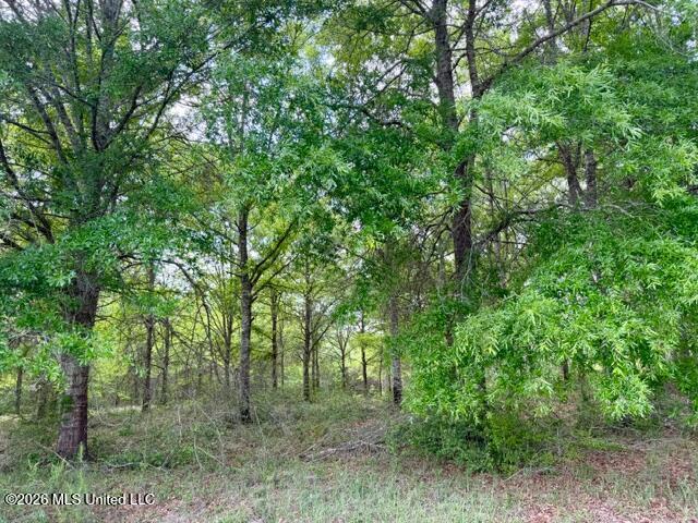273 Vincetown Road Tylertown, MS 39667 - Photo 36 of 41 IMG_9752