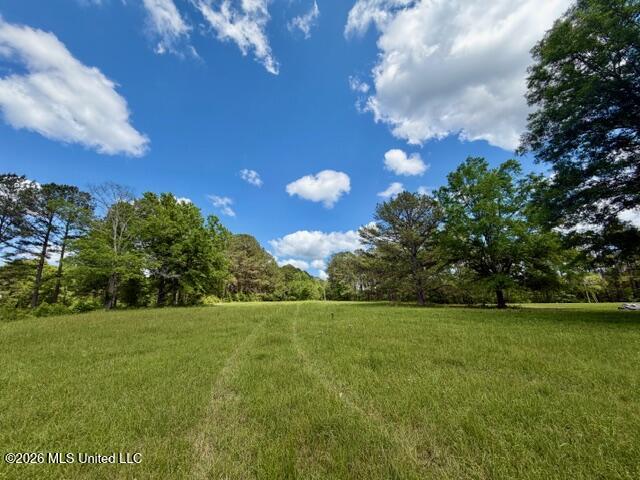 273 Vincetown Road Tylertown, MS 39667 - Photo 39 of 41 IMG_9755