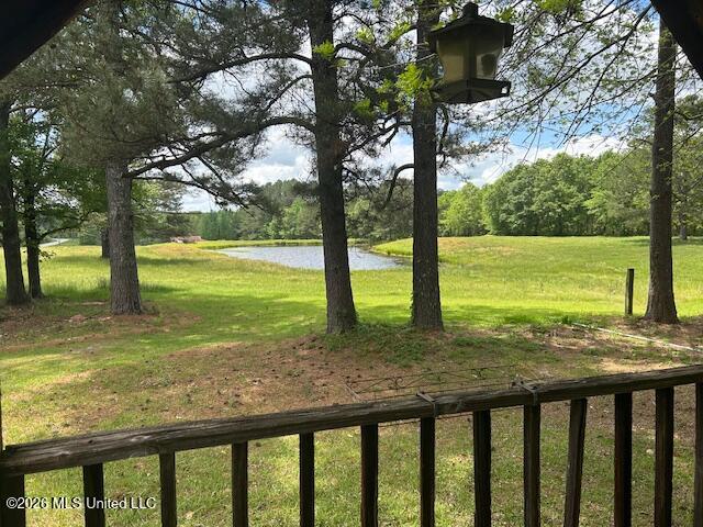 273 Vincetown Road Tylertown, MS 39667 - Photo 6 of 41 IMG_3945 (1)