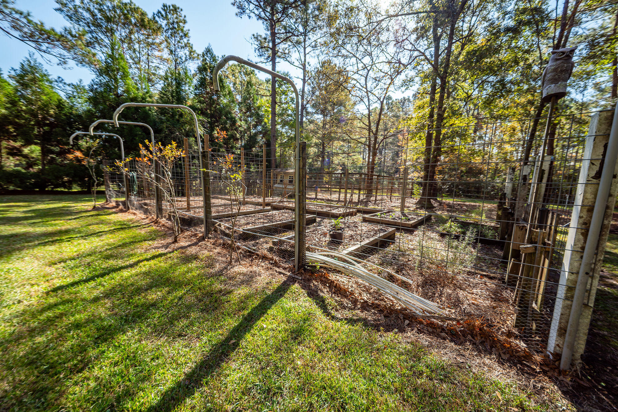 5950 Lowell Reed Road Ravenel, SC 29470 - Photo 86 of 120 72