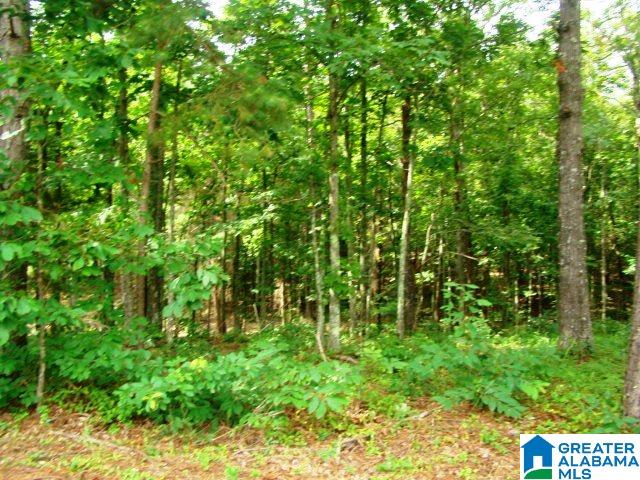1661 Roy Webb Cutoff Road Piedmont, AL 36272 - Photo 12 of 41