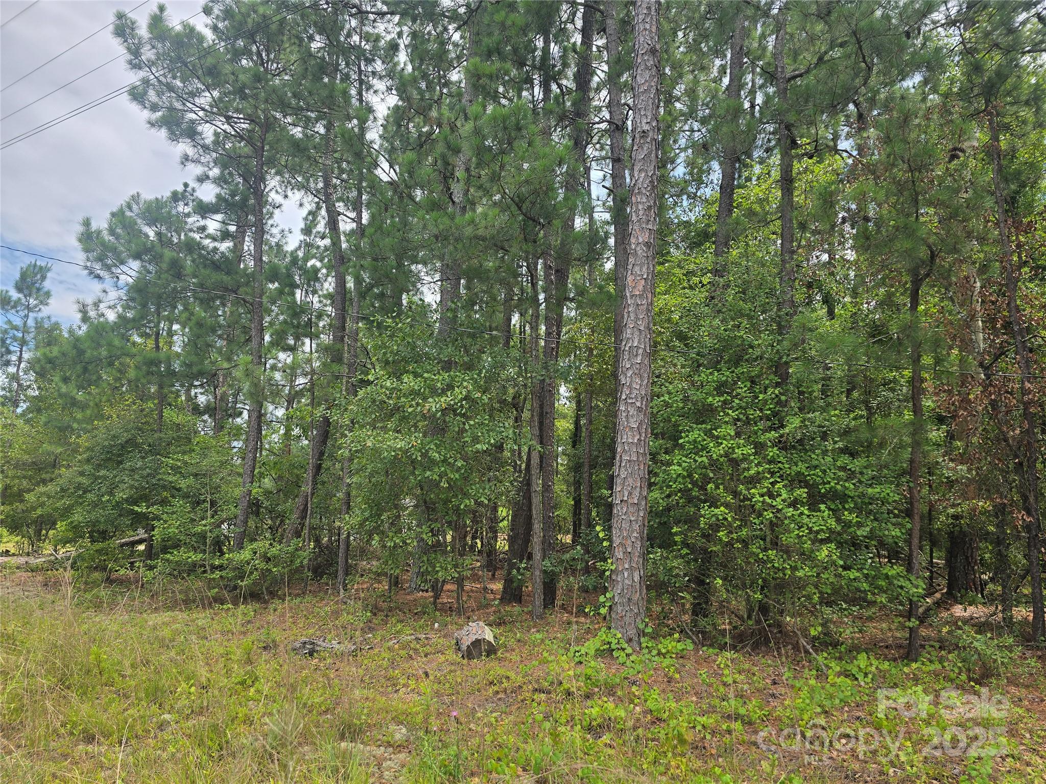 0 Johnny Williams Road, Unit 5 Kershaw, SC 29067 - Photo 1 of 6 a view of backyard with green space