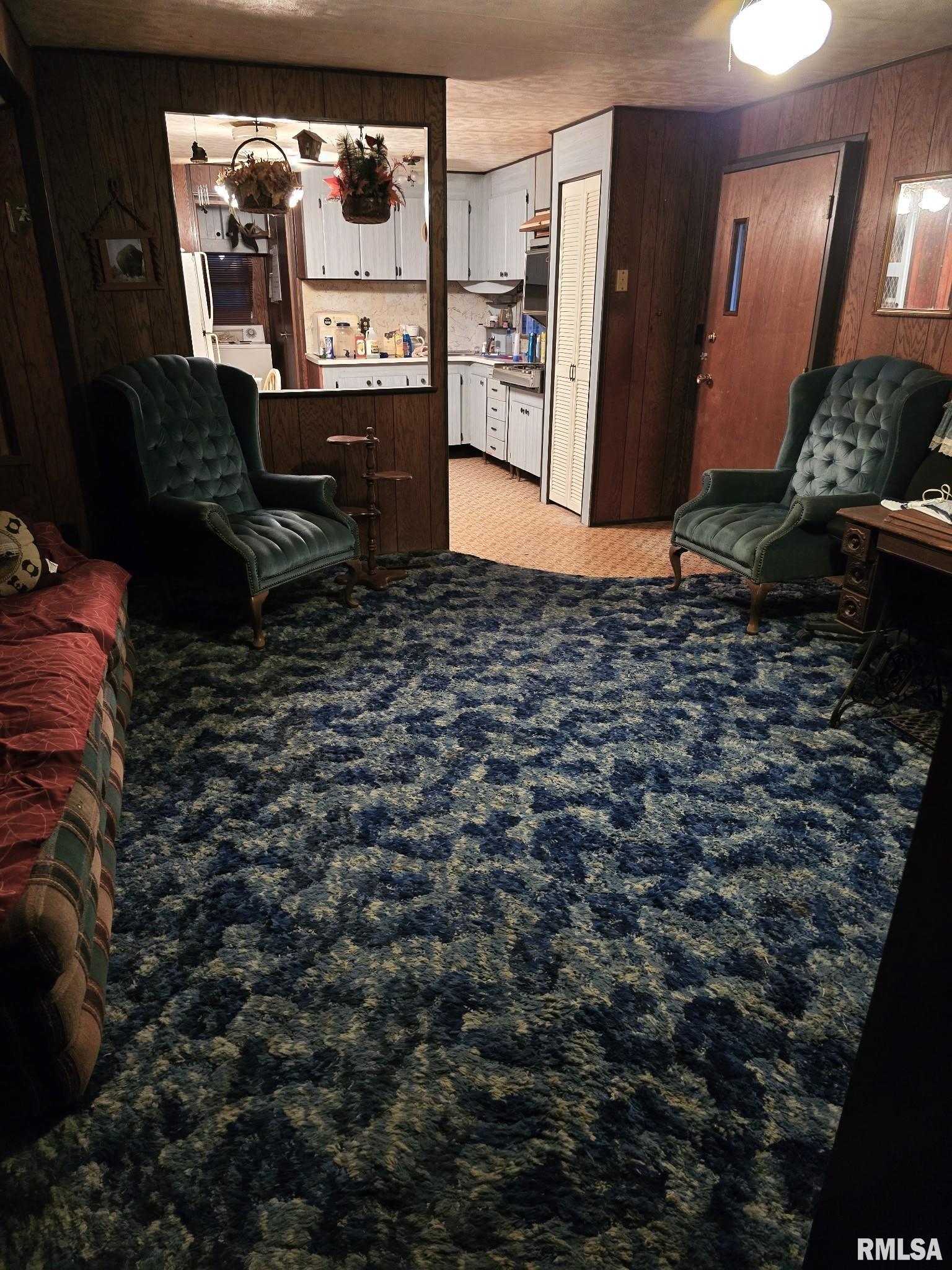 312 East Randolph Street McLeansboro, IL 62859 - Photo 5 of 6