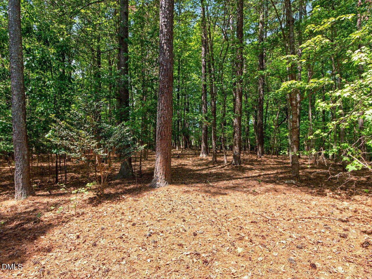 5913 Dunbarton Way Raleigh, NC 27613 - Photo 42 of 44 042-1280x960-photo
