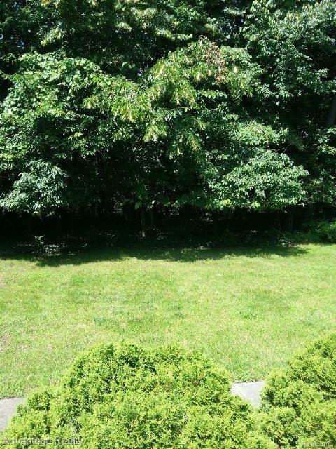 510 Elmhill Road Rochester, MI 48306 - Photo 23 of 24 20130710_120358_resized.jpg