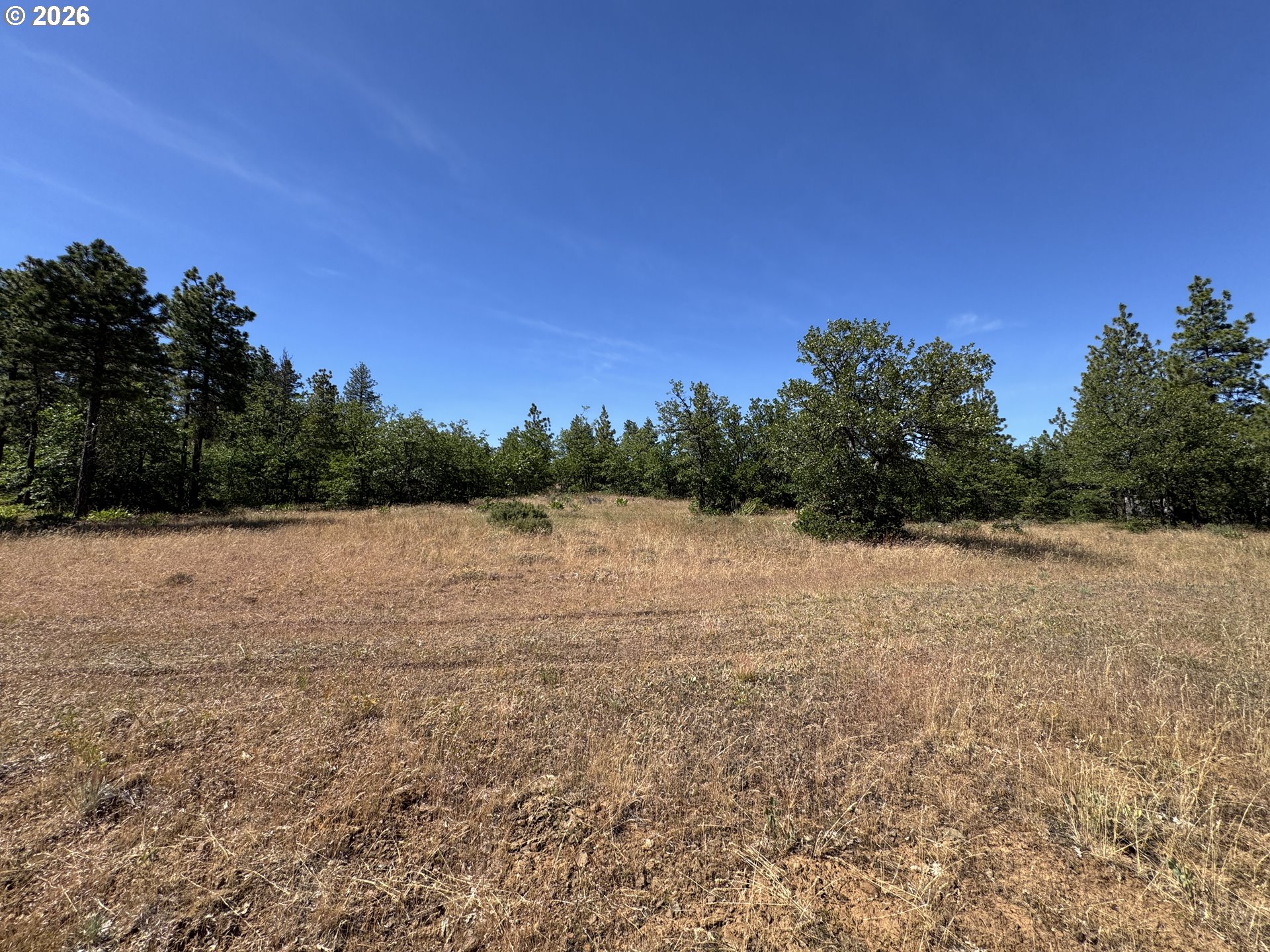 112 Timber Road Roosevelt, WA 99356 - Photo 11 of 31