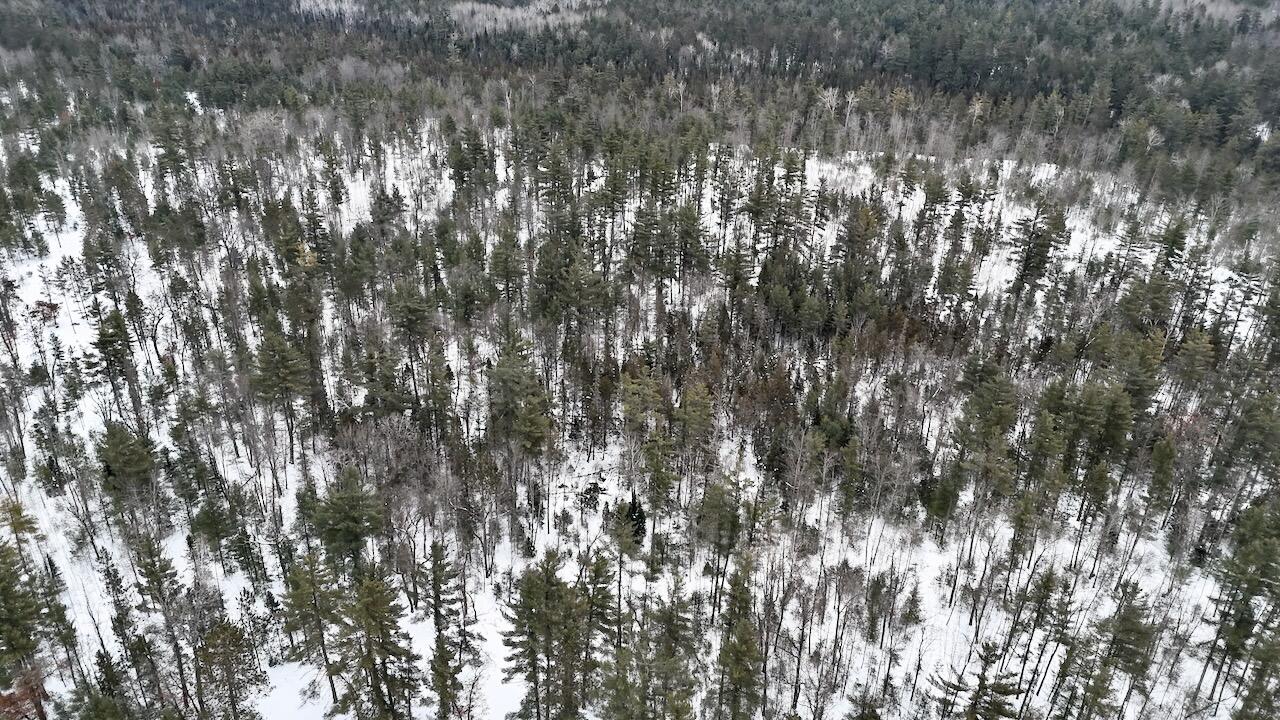 4440 West Cherry Creek Road Lewiston, MI 49756 - Photo 28 of 58 DJI_20260209113831_0216_D