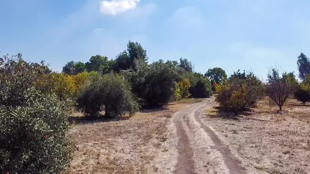 a view of an outdoor space with trees