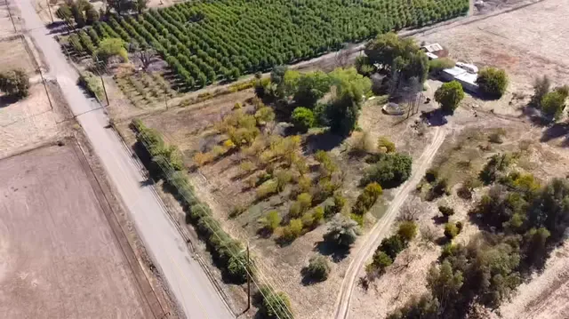 a view of a yard with plants