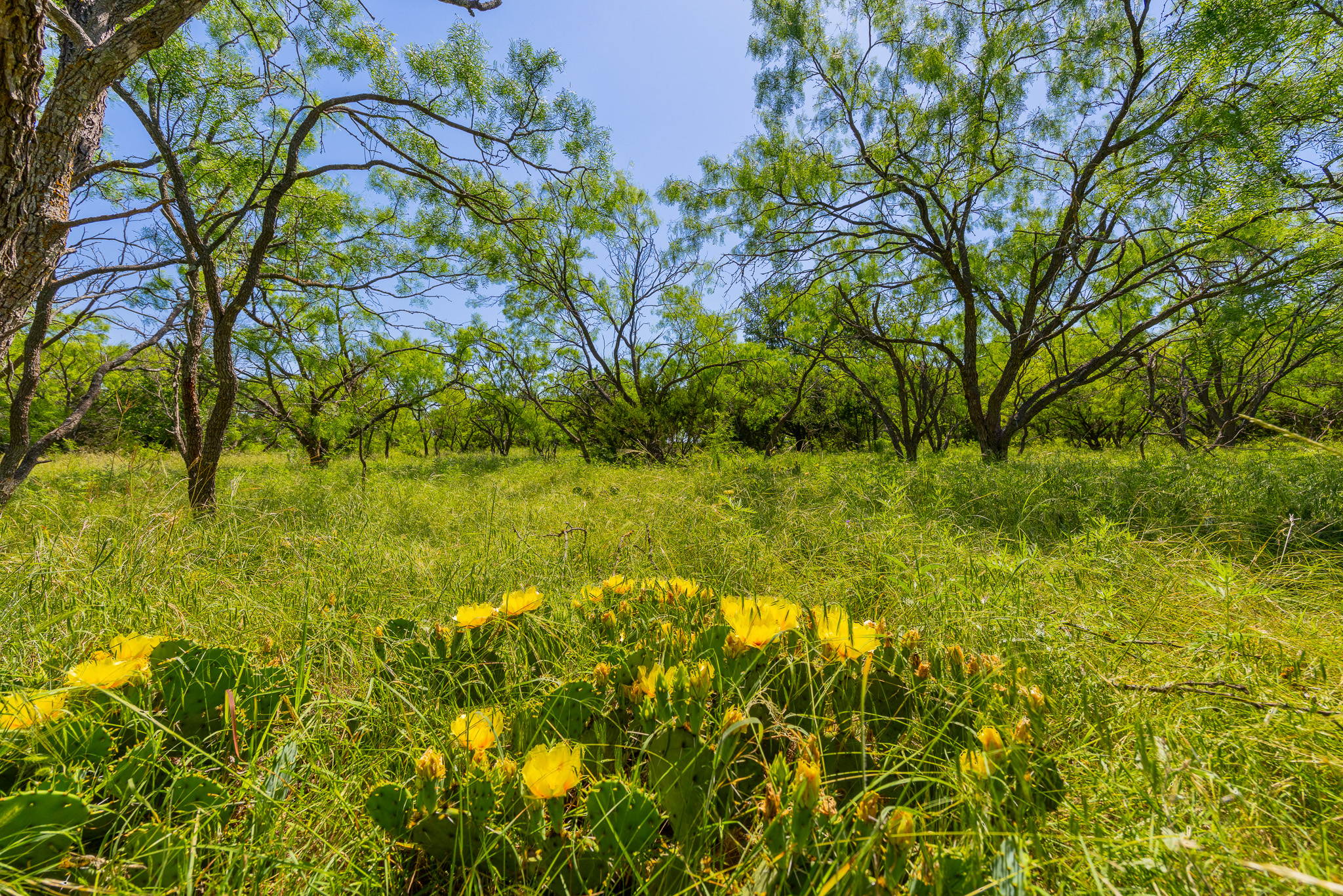 180 Rd Purmela Tx 76566 Road Purmela, TX 76566 - Photo 2 of 27 Gallery Image 2