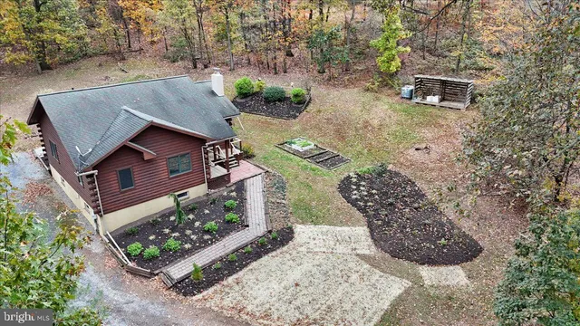a view of backyard with a barn and a large cactus tree