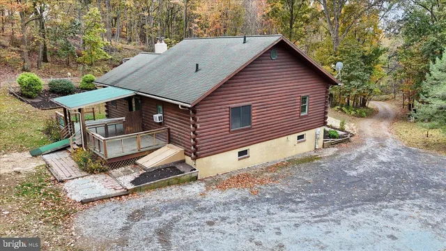 a view of a yard with plants