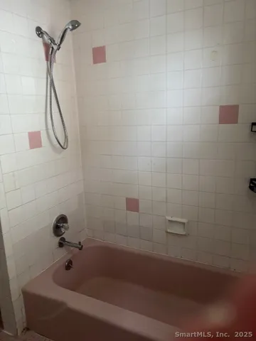 a bathroom with a shower and a bathtub