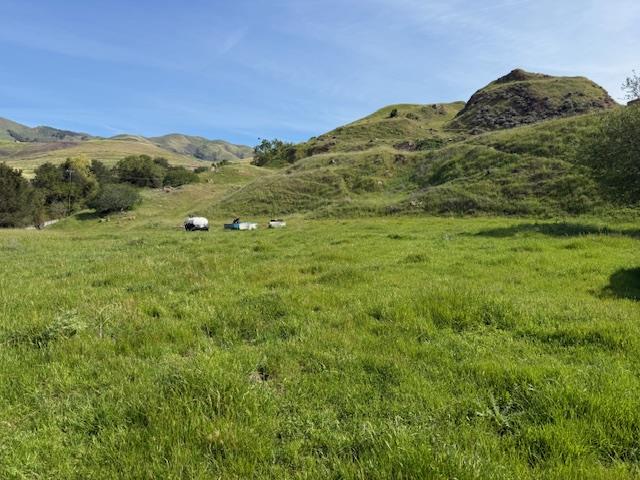 2118 Old Calaveras Road Milpitas, CA 95035 - Photo 21 of 52
