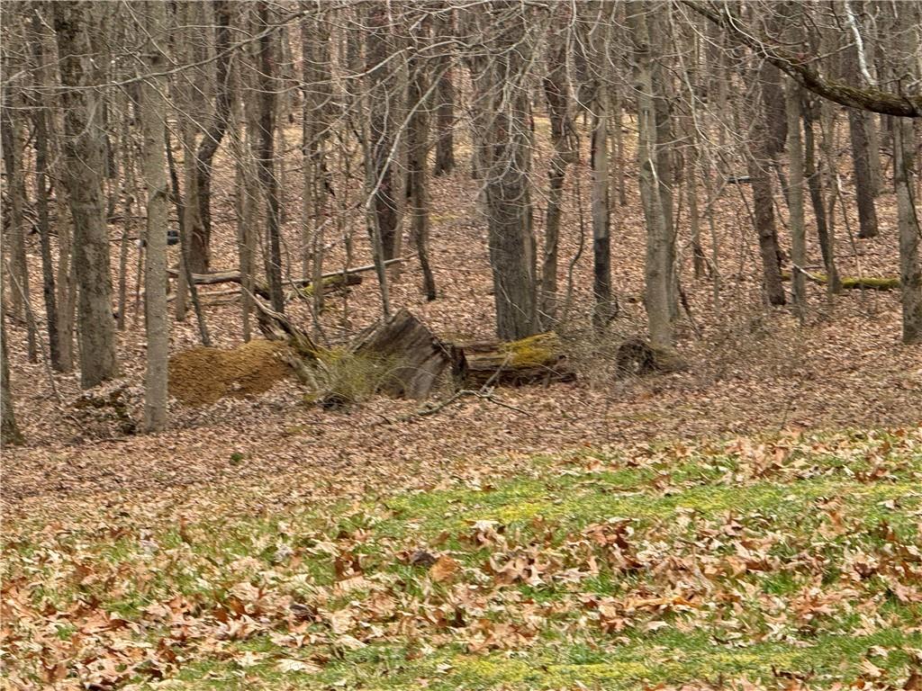 482 Sand Road Parker, PA 16049 - Photo 29 of 37 Gallery Image 29