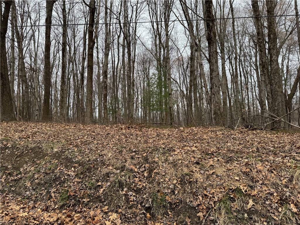 482 Sand Road Parker, PA 16049 - Photo 5 of 37 Gallery Image 5