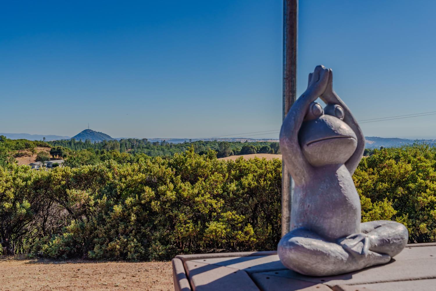 17234 Oak Road Jackson, CA 95642 - Photo 55 of 58