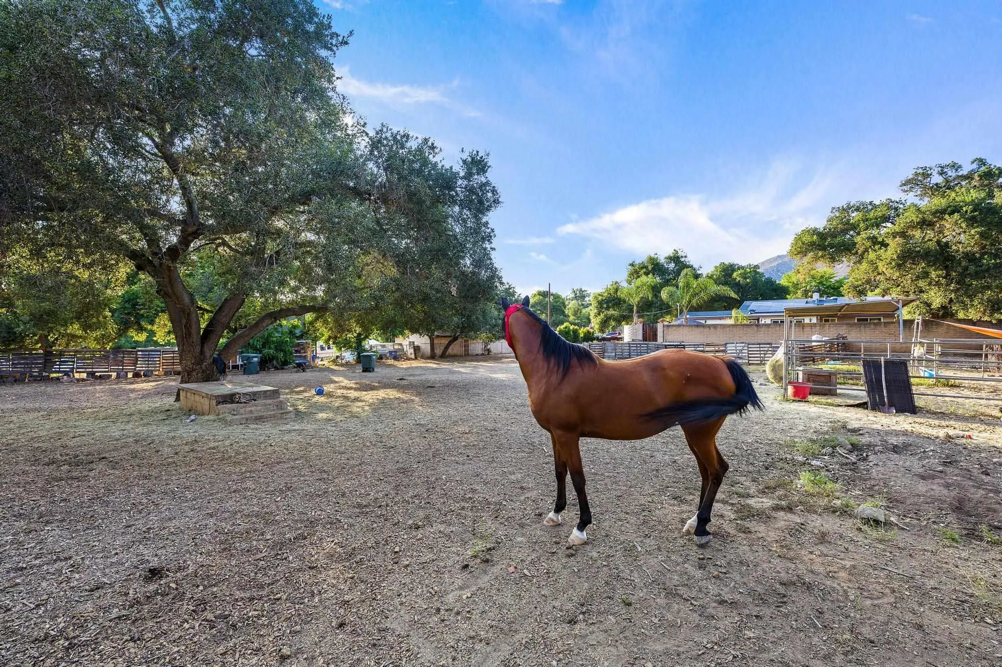 14725 Lyons Valley Road Jamul, CA 91935 - Photo 48 of 57