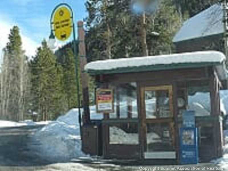 373 Wild Irishman Road, Unit 1086 Keystone, CO 80435 - Photo 2 of 20 Exterior Back. Bus stop at complex