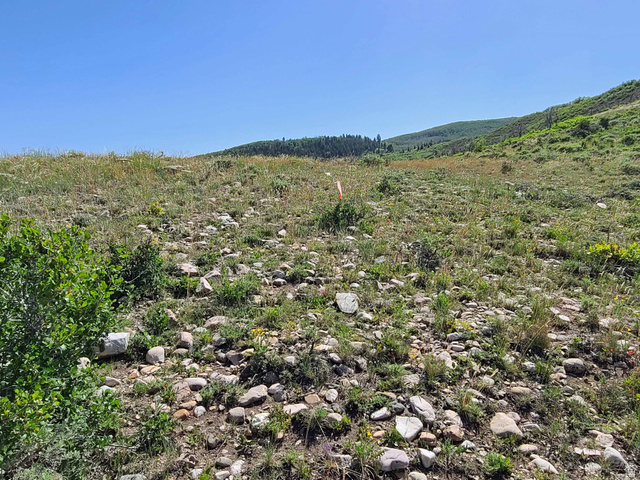 93 West Spring Drive South, Unit 93 Fairview, UT 84629 - Photo 8 of 11 View of mountain backdrop