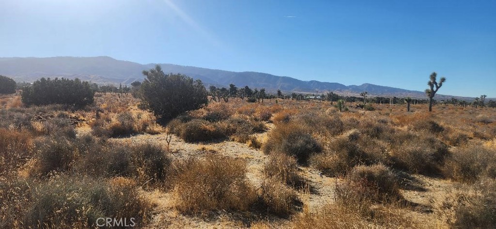 a view of a town with mountains in the background