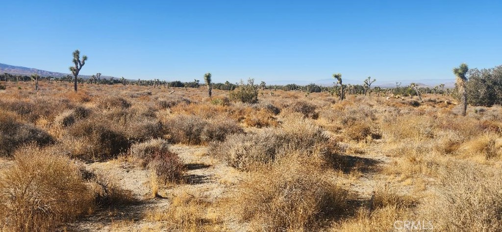 12 Silver Rock Road Pinon Hills, CA 92372 - Photo 5 of 12 a view of a sky