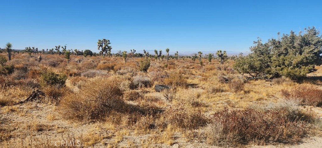 12 Silver Rock Road Pinon Hills, CA 92372 - Photo 7 of 12 a view of a city