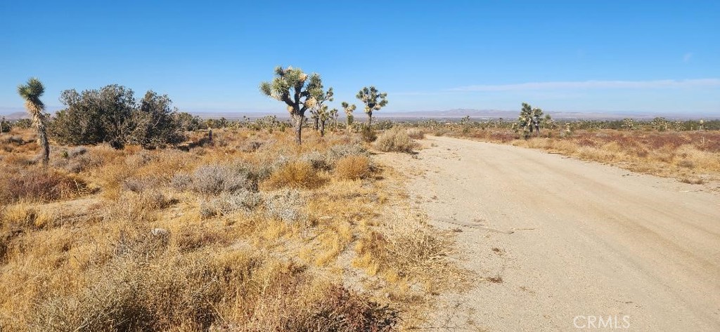 12 Silver Rock Road Pinon Hills, CA 92372 - Photo 10 of 12 a view of ocean view with beach