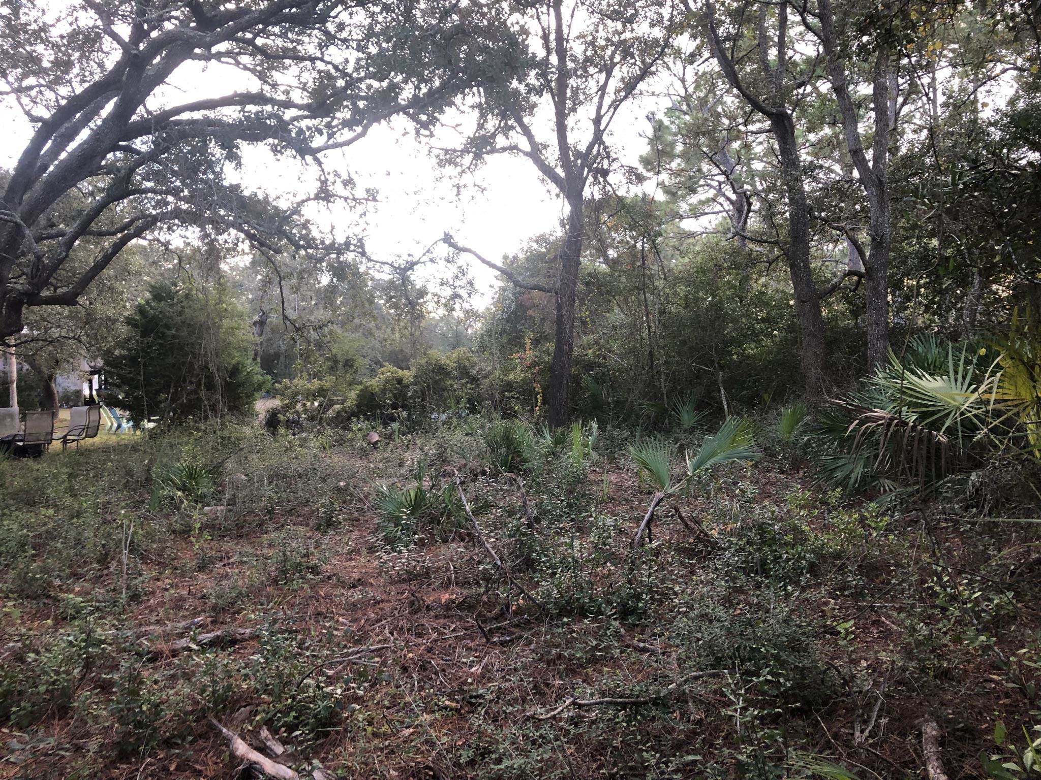 Mashes Sands Road Panacea, FL 32346 - Photo 1 of 6 Gallery Image 1