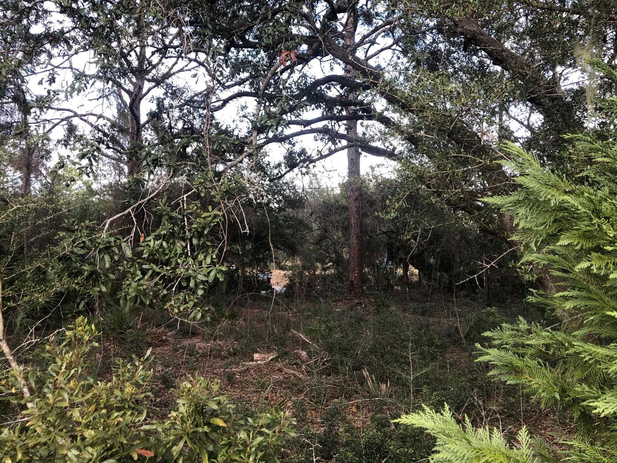 Mashes Sands Road Panacea, FL 32346 - Photo 3 of 6 Gallery Image 3
