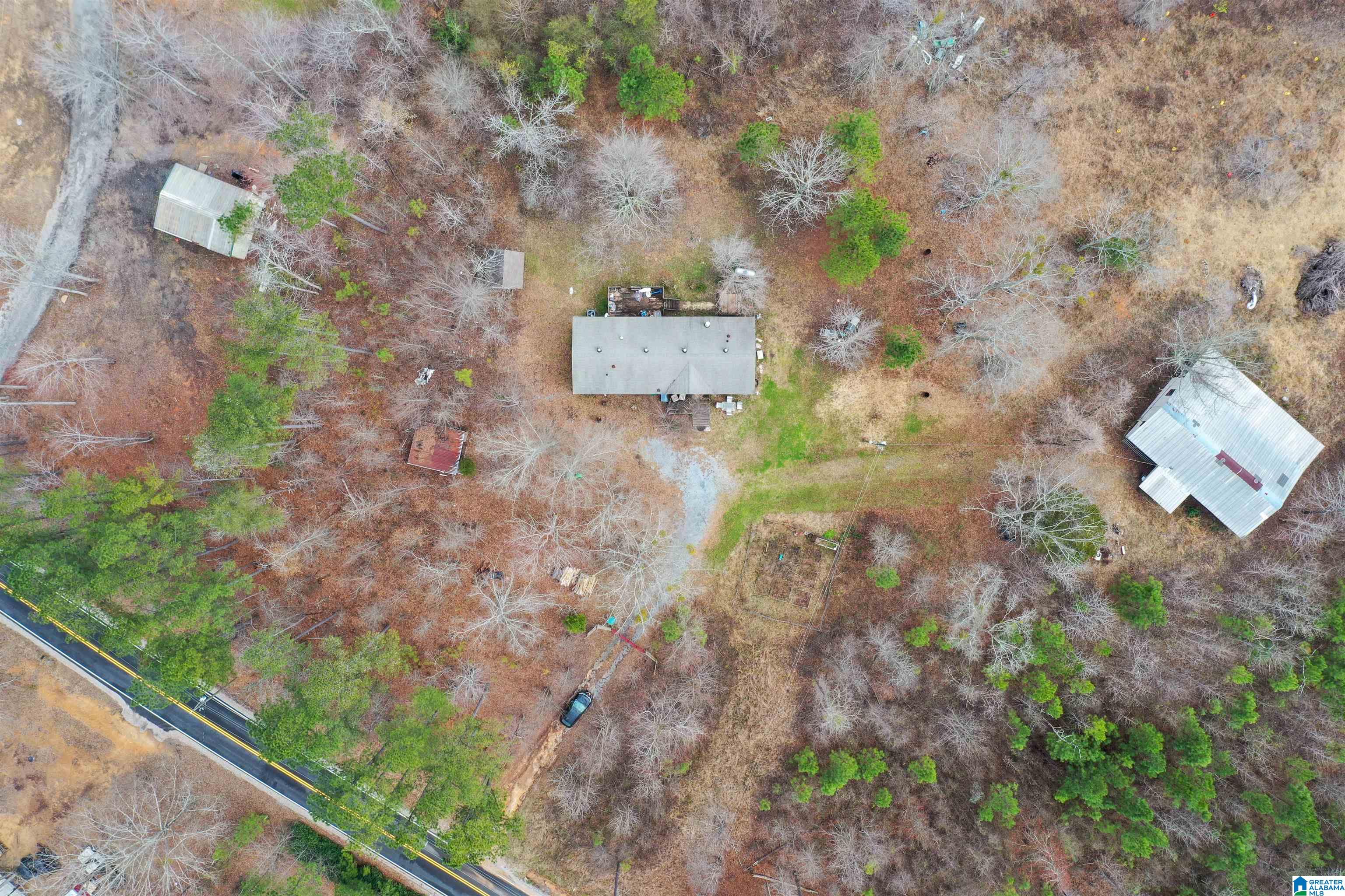 2226 Chula Vista Mtn Road Pell City, AL 35125 - Photo 2 of 47