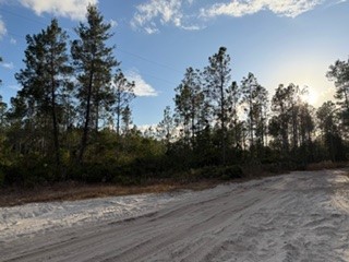880 Still Road Pierson, FL 32180 - Photo 2 of 7