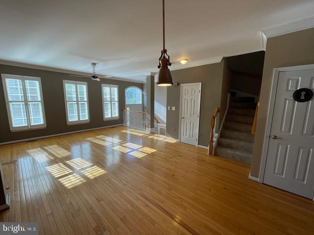 44034 Rising Sun Terrace Ashburn, VA 20147 - Photo 8 of 23 Large Living Room