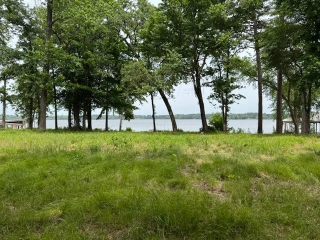 a view of green field