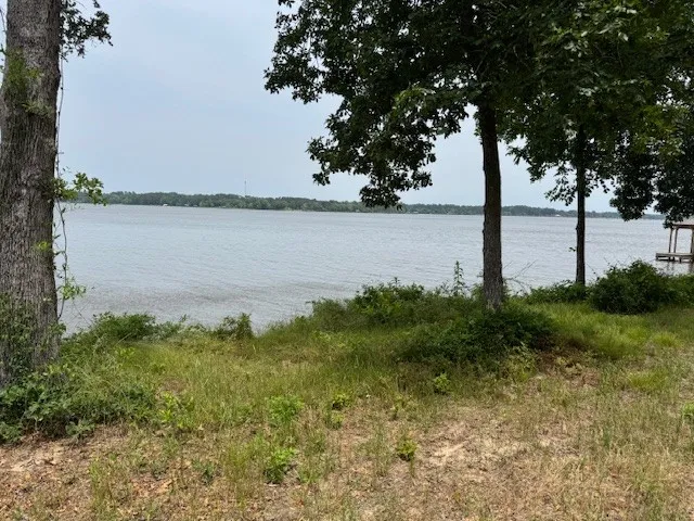 a view of a lake from a yard
