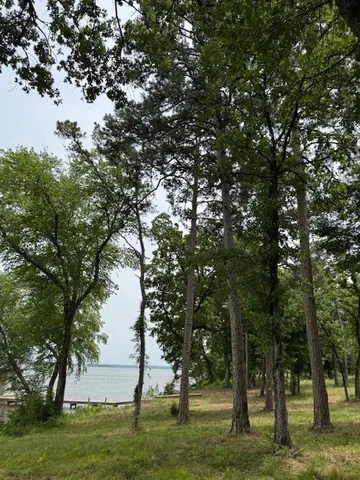 a view of an outdoor space