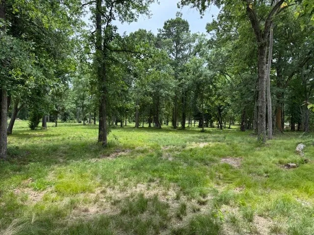 a view of green field